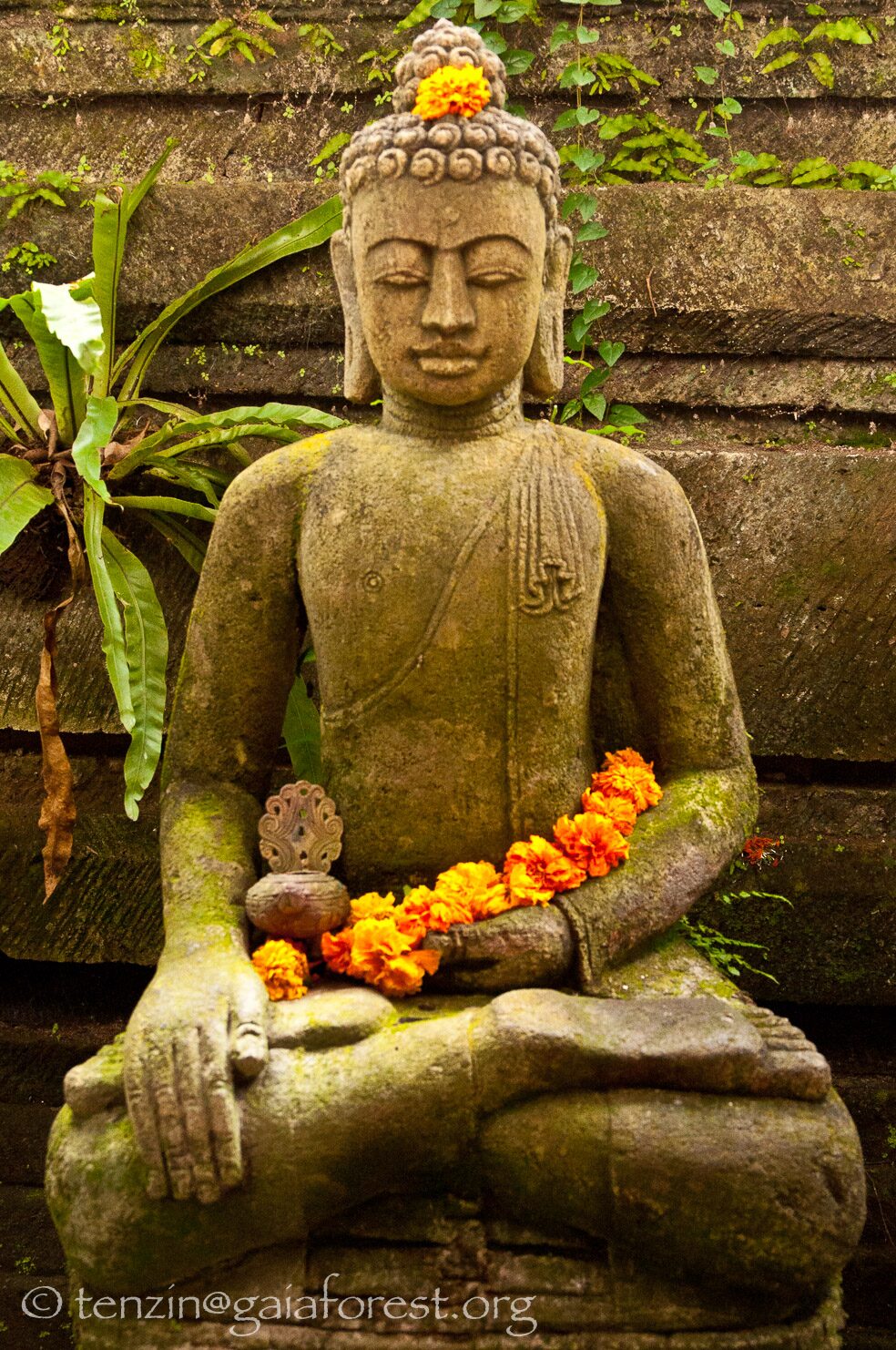 Essay: Buddha touched the Earth – By John Seed