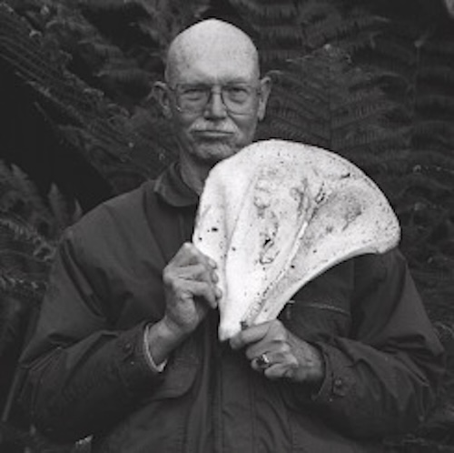 Bill Devall portrait photograph